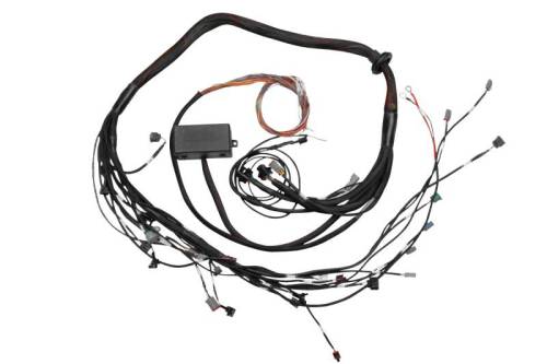 Stand Alone ECU - Wiring Harnesses