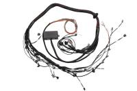 Products - Stand Alone ECU - Wiring Harnesses