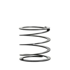 Eibach ERS 2.50 inch dia Coilover Helper Spring - Helper250