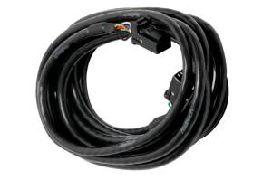 Haltech CAN Cable 8 Pin Black Tyco to 8 Pin Black Tyco 300mm (12in) - HT-040054