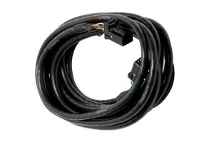 Haltech CAN Cable 8 Pin Black Tyco to 8 Pin Black Tyco 600mm (24in) - HT-040056