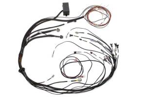 Haltech Mazda 13B (S6-8 CAS w/IGN-1A Ignition) Elite 1000 Terminated Harness - HT-140882