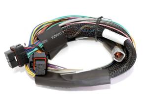 Haltech Elite 2500 8ft Basic Universal Wire-In Harness (Excl Relays or Fuses) - HT-141302