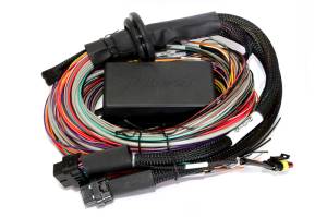 Haltech Elite 2500 & 2500 T 8ft Premium Universal Wire-In Harness - HT-141304
